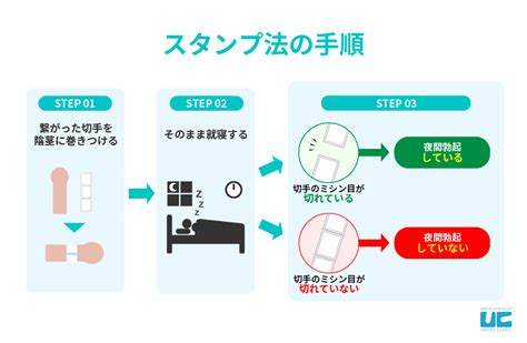 朝立ち しなくなった|なぜ朝立ちしない？原因や健康との関係や対策